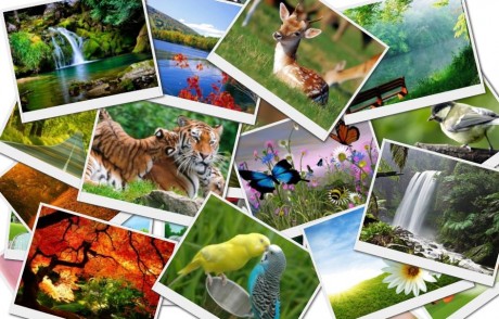 WPEka Club's Collage Maker WordPress Plugin