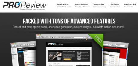Pro-review theme