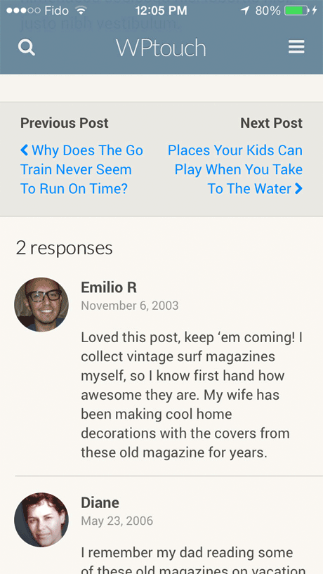 Example of WPTouch Comment Area