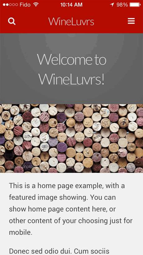 Example of WPTouch Home Page