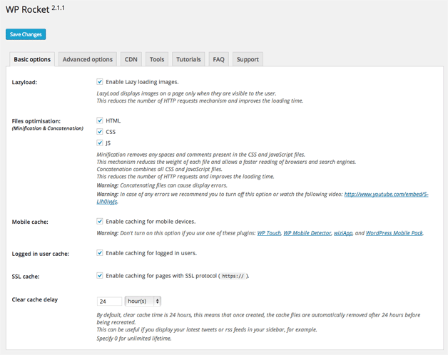 WP Rocket Basic Options