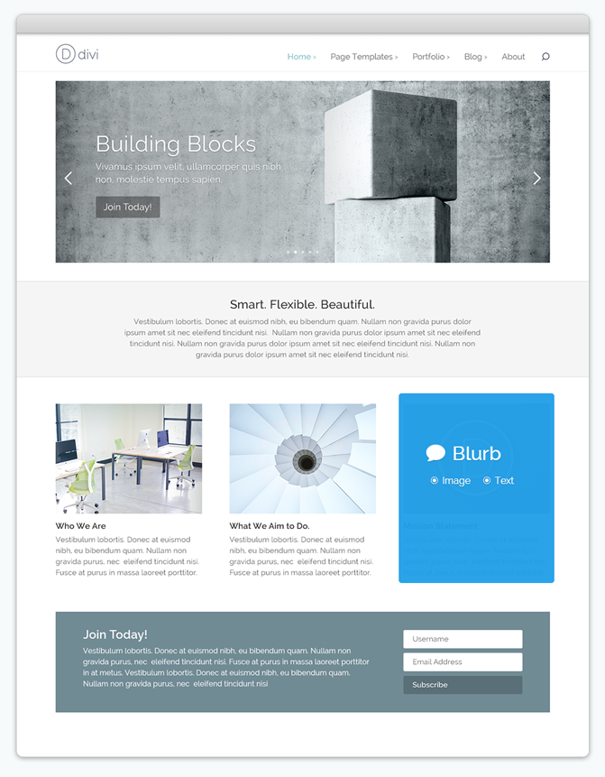Example of Elegant Themes Divi