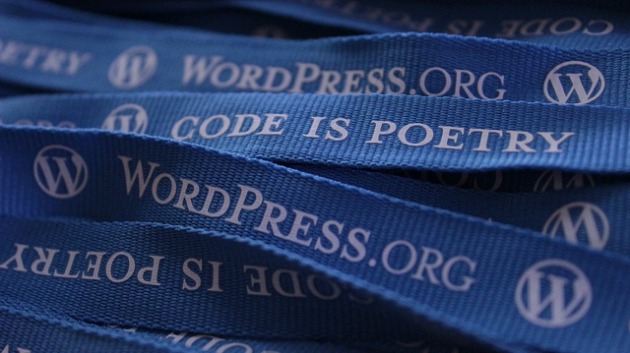 So You Want to Be a WordPress Developer? Here’s How to Get Started