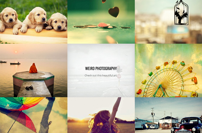 Grid FX – A Versatile Grid Plugin for WordPress