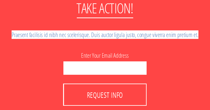 action widget preview