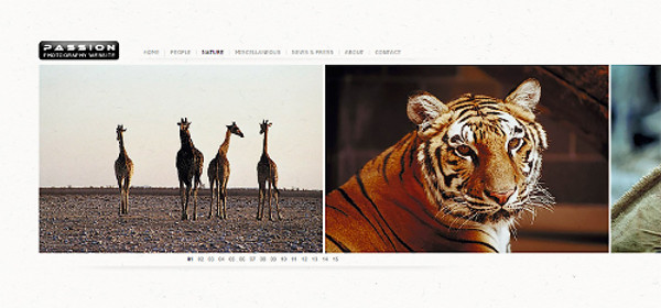Passion Portfolio theme