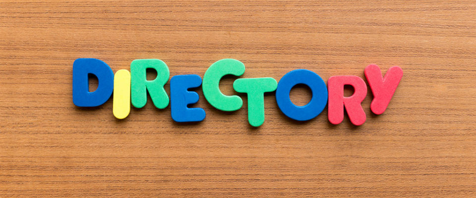 Creating a Business Directory in WordPress with a plugin and a theme