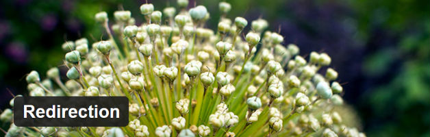Redirection Plugin