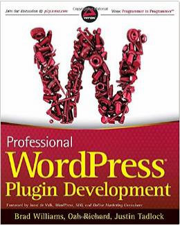 Professional WordPress Plugin Development