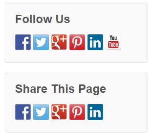 Social Media Feather buttons