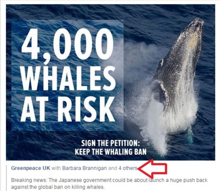 How To Add Facebook Authorship To Your WordPress Blog