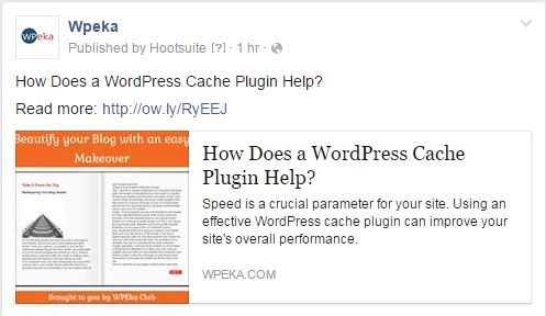 WPeka Social Media Share 1