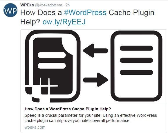WPeka Twitter Card