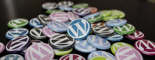 9 Things Every New WordPress Blogger Needs to Do