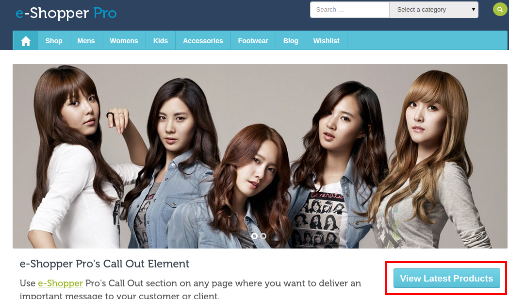 e-Shopper Pro – A WordPress WooCommerce Theme