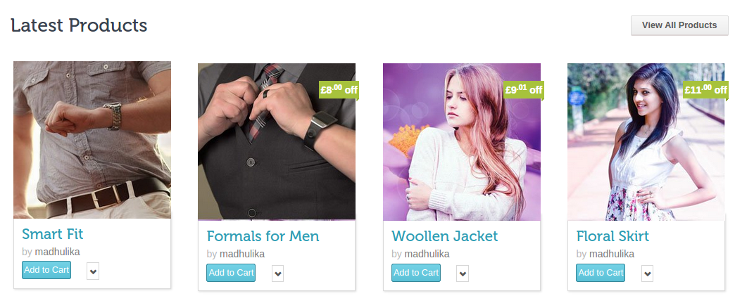 premium wordpress woocommerce themes