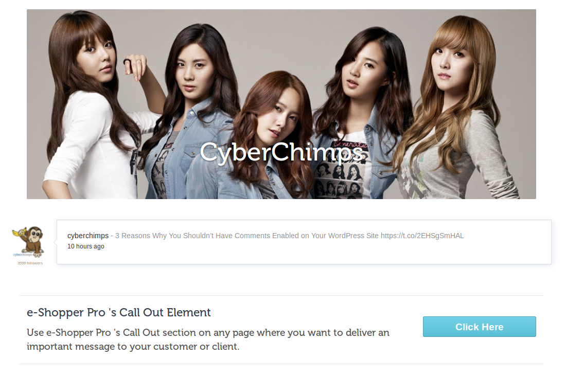 WooCommerce Theme Twitter bar