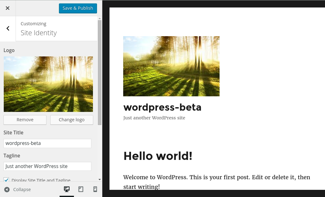 wordpress-theme