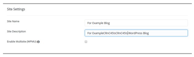 How to Install WordPress Software Setup