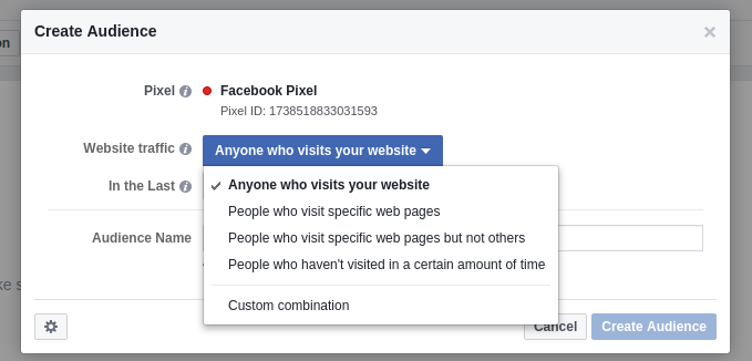 custom audience type
