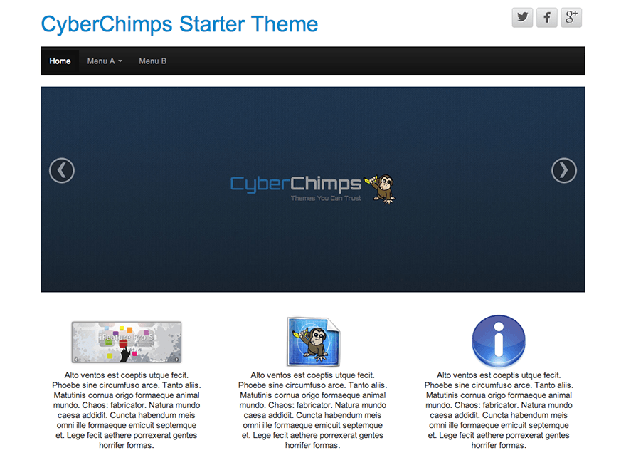 wordpress themes for content marketing - cyberchimps theme
