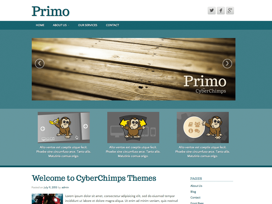 wordpress themes for effective content marketing - primo lite