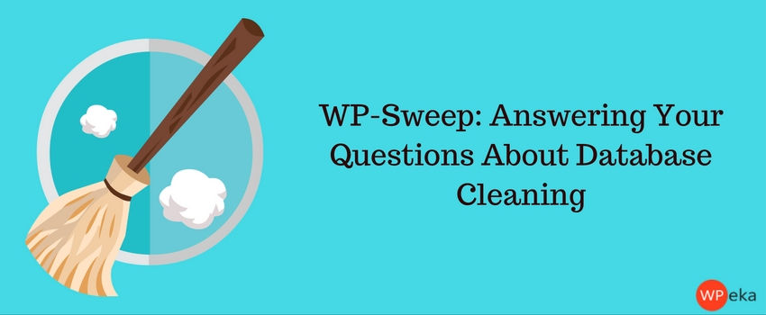 WP-Sweep: Answering Your Questions About Database Cleaning