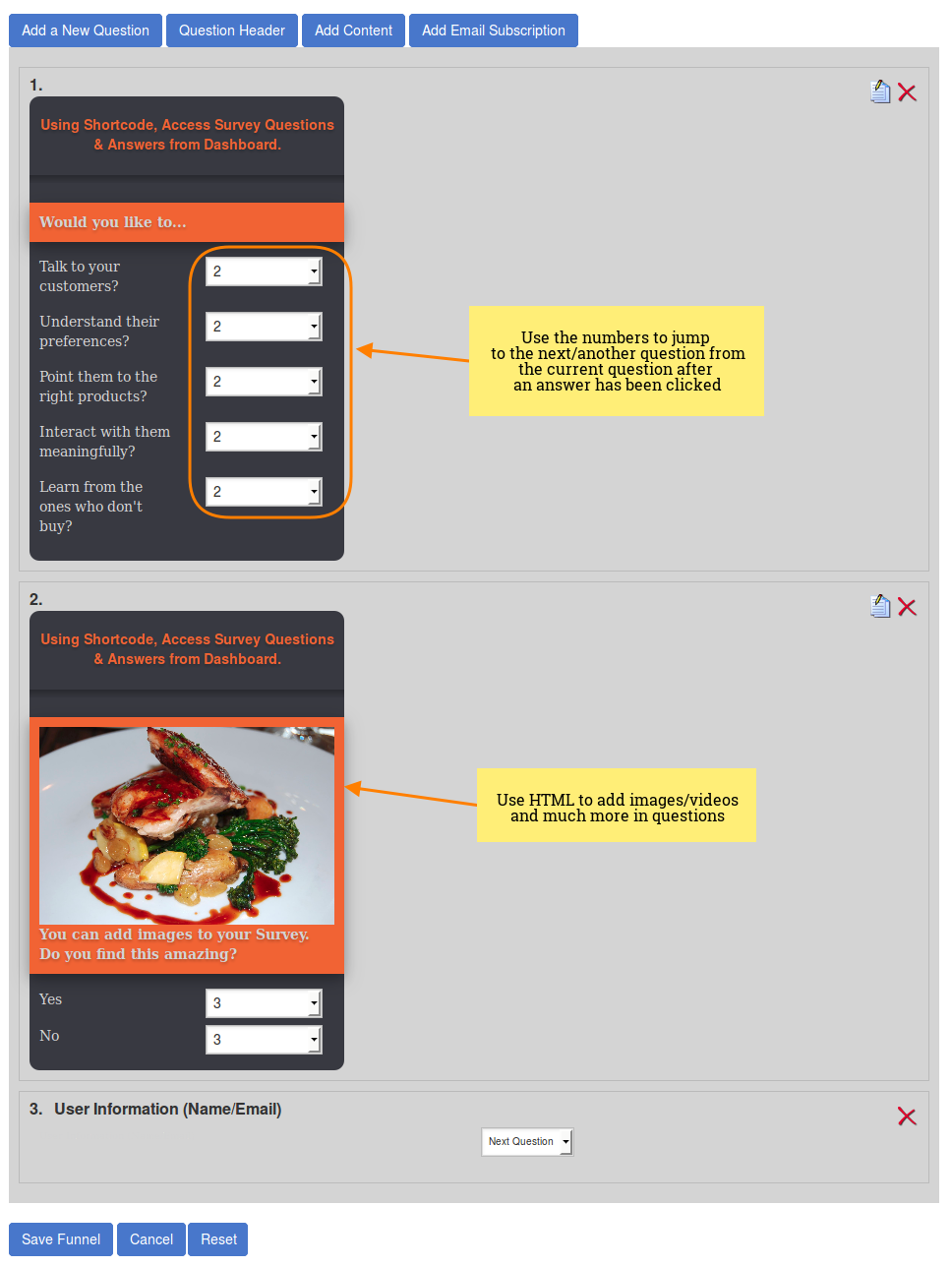 SurveyFunnel - Conditional logic