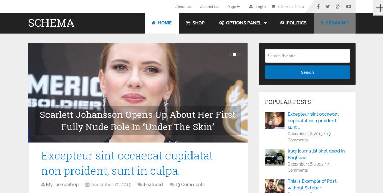 schema wordpress theme