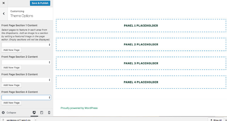 theme customizer options