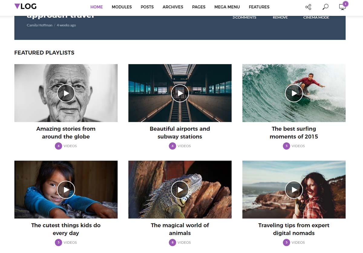 Vlog WordPress Theme Playlists
