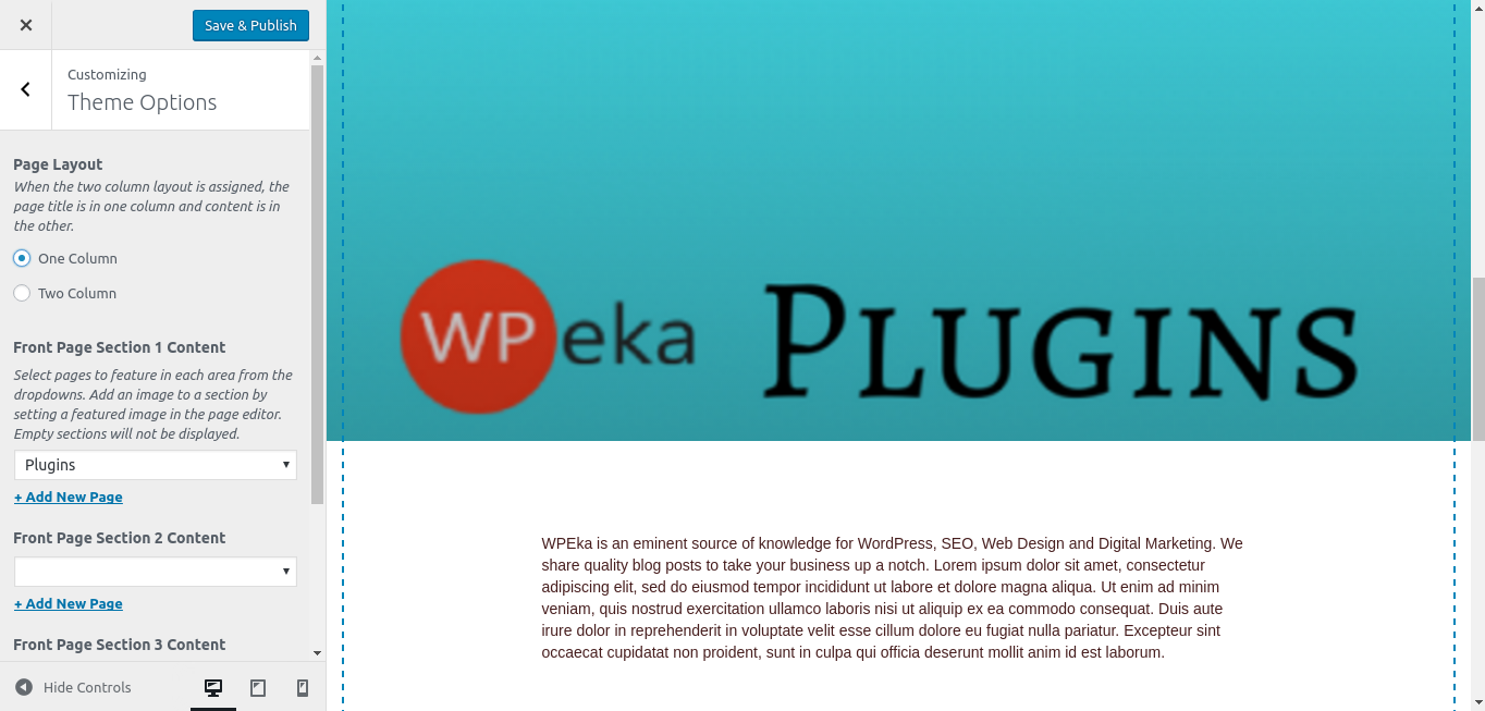 Twenty Seventeen theme | one column layout