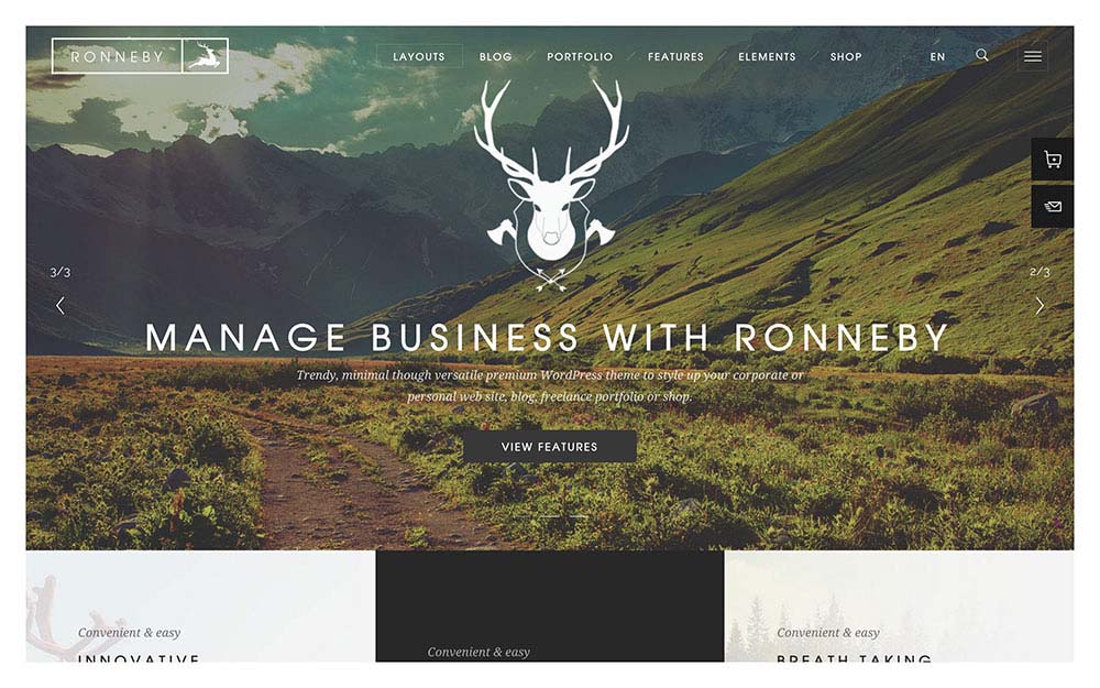 Parallax Scrolling WordPress Themes | Ronneby