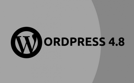 WORDPRESS 4.8