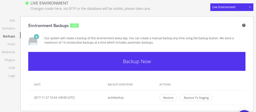 Kinsta backup website