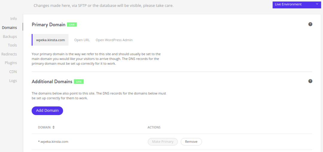 Kinsta domain management