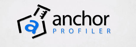 Anchorprofiler WordPress SEO Tools