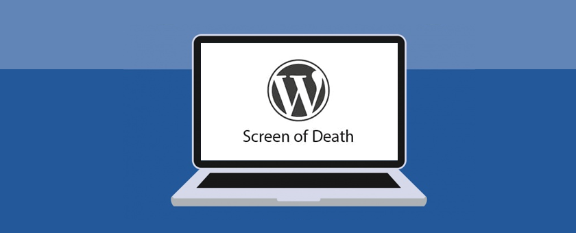 fix common WordPress issues