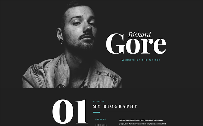 Novelistic - Writer Portfolio Pro Elementor Template