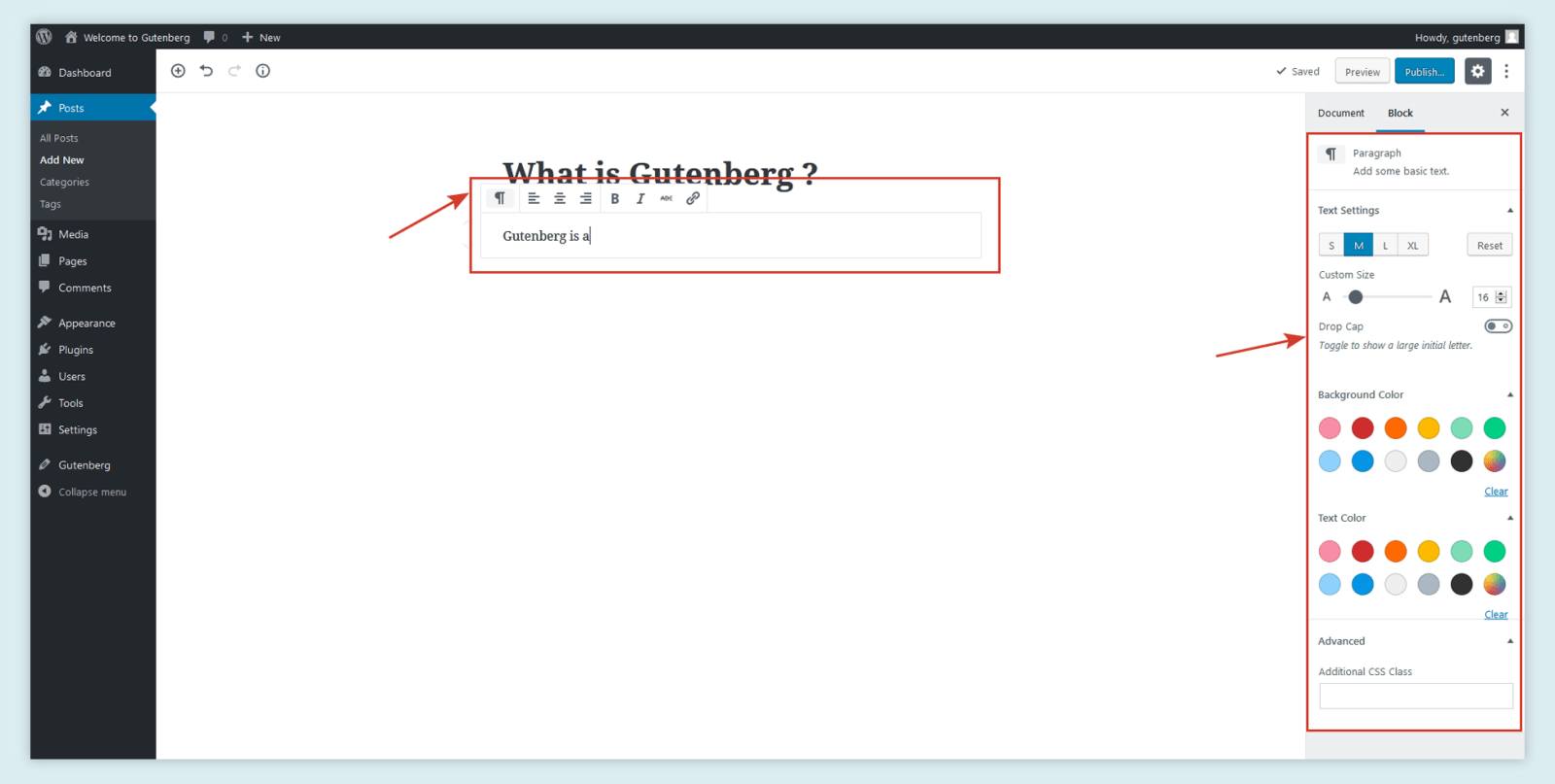 block gutenberg wordpress editor