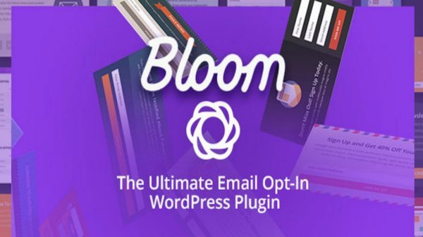 Bloom WordPress plugin for newsletter