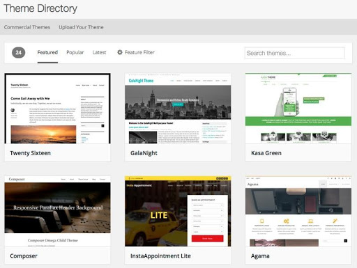 Starting WordPress Website