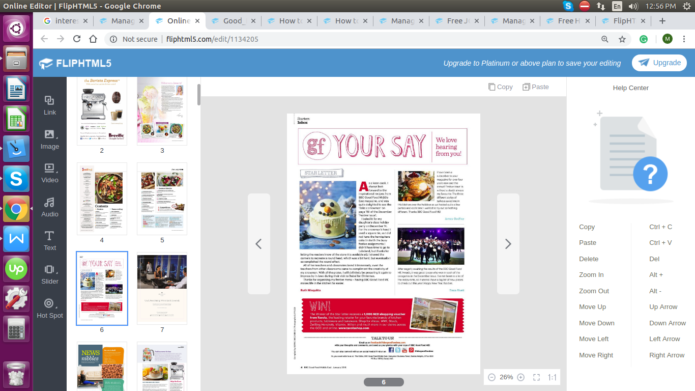 digital magazine publisher