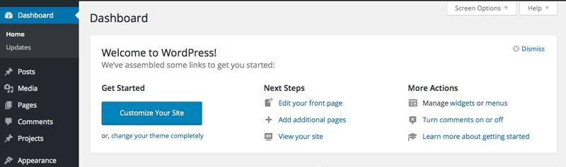 Starting WordPress Website