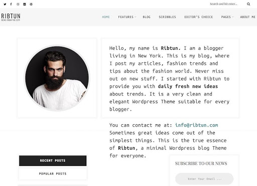 Lifestyle WordPress Blog Themes