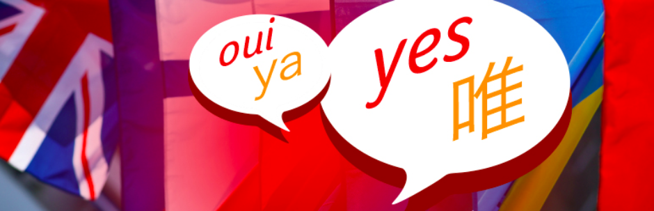 WordPress translation plugin