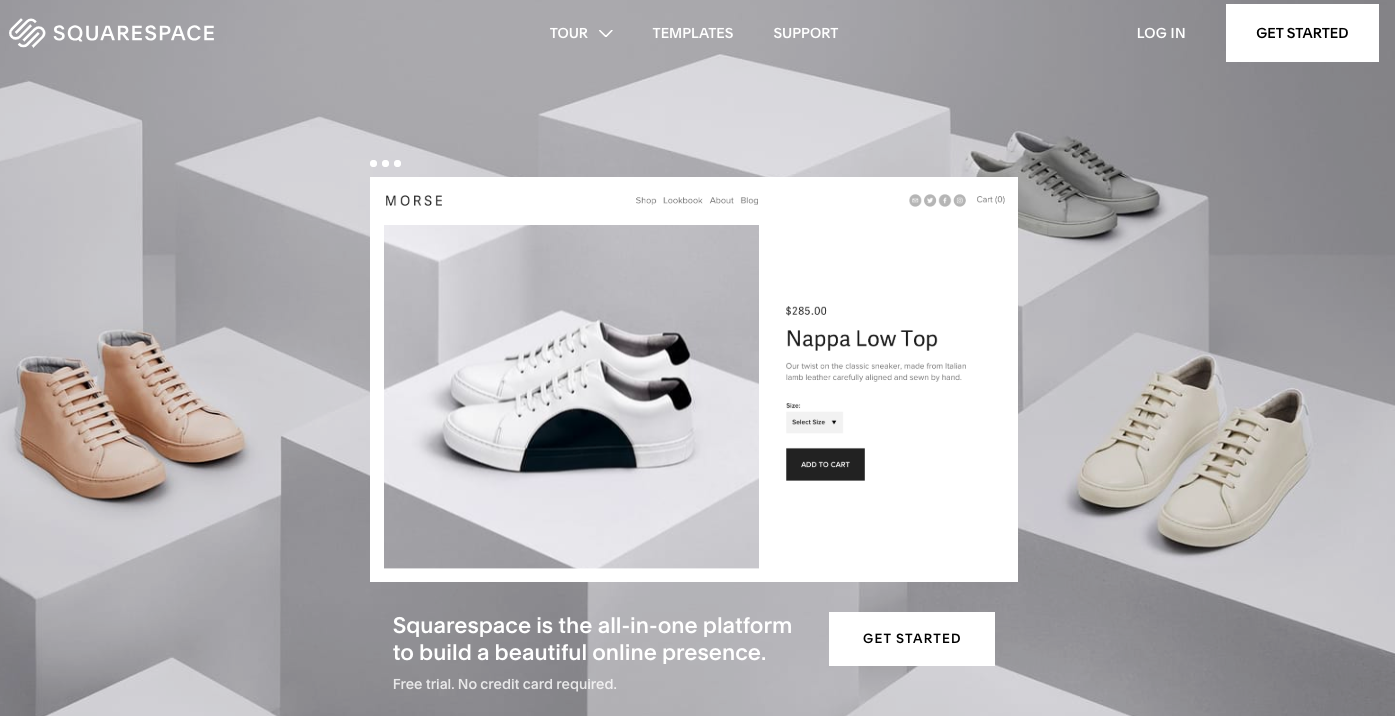 WordPress alternative