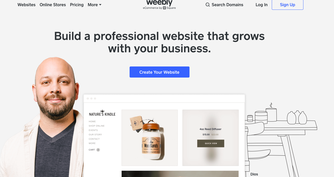 WordPress alternative