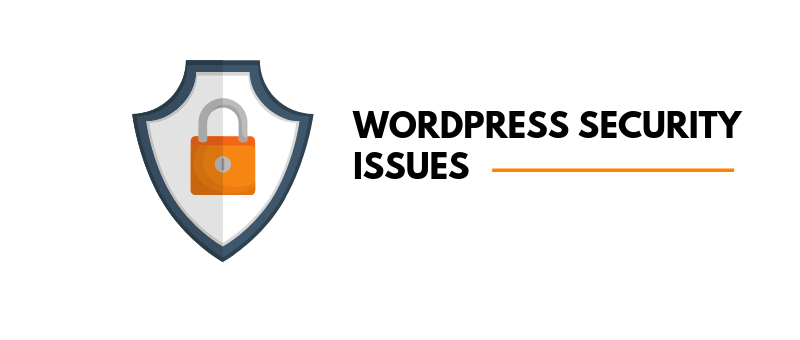WordPress Security Issues