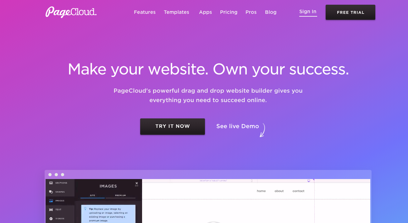 WordPress alternative